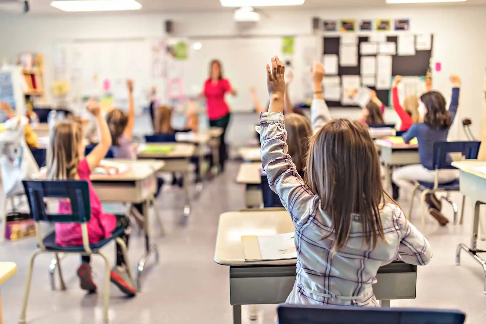 Learn about your Education Options